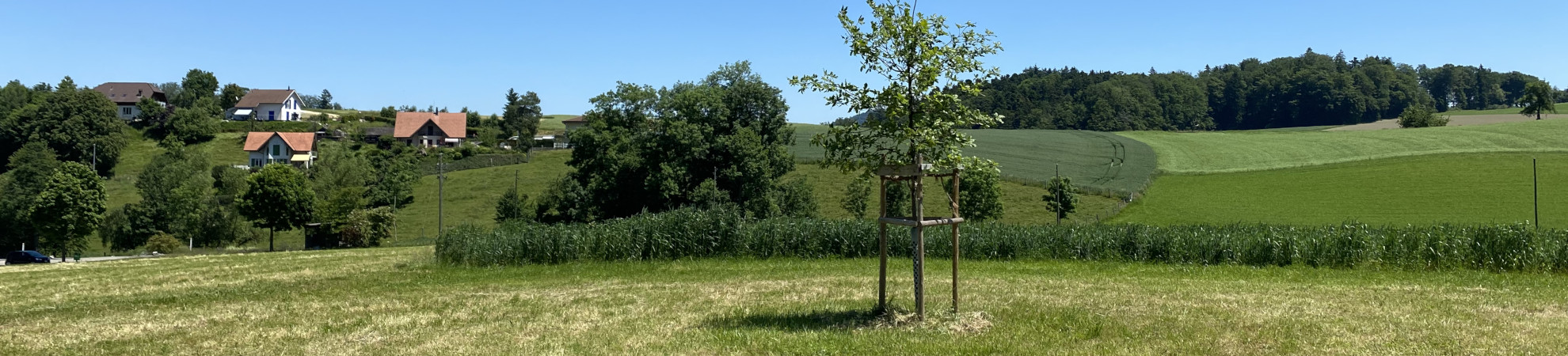 Startseite Gemeinde Rütschelen